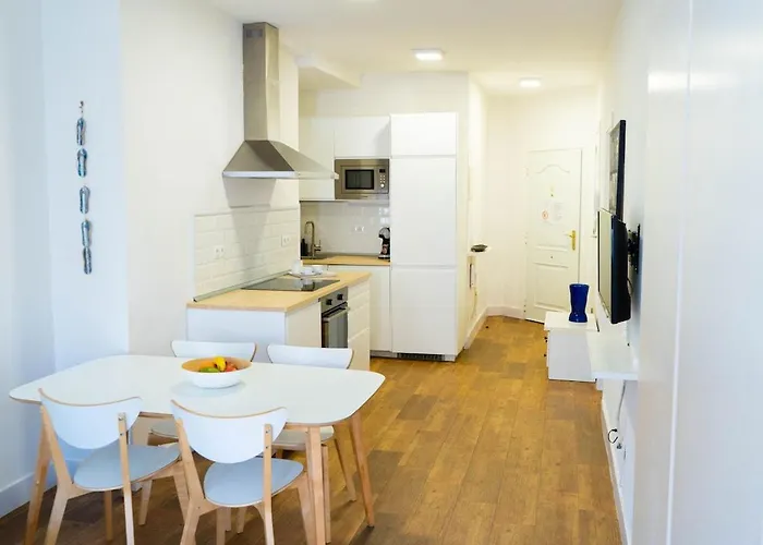 Centrico Ap. 1 Hab 托雷莫利诺斯