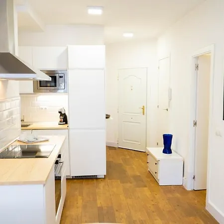 Centrico Ap. 1 Hab Apartment *